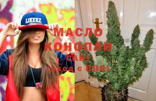 молекула духа Балахна
