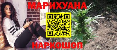 a pvp Кингисепп