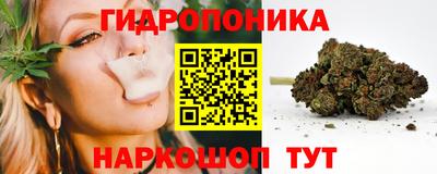 a pvp Кингисепп