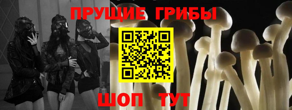 Псилоцибиновые грибы мицелий  цены наркотик  Краснокаменск  Вход с VPN  Галлюциногенные грибы Psilocybine cubensis 
